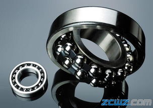 2309.tvc3軸承與NTN軸承 特性、應(yīng)用及優(yōu)勢(shì)分析